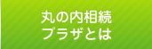 代替テキスト2